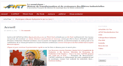 Desktop Screenshot of afnet.fr